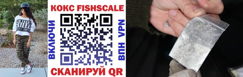 Купить закладки  Вилючинск  Кокаин FishScale 