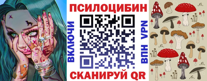 Купить где  Вилючинск  Псилоцибиновые грибы GOLDEN TEACHER 